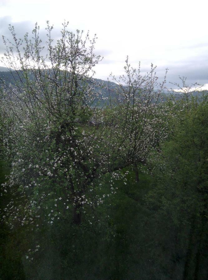 Holiday Home Tihiy Dvor 미쿨리친 외부 사진